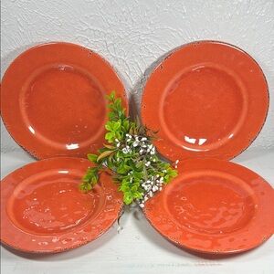 Gianna’s Home Plates Melamine Rustic Orange Plate Set Farmhouse Orange Plates